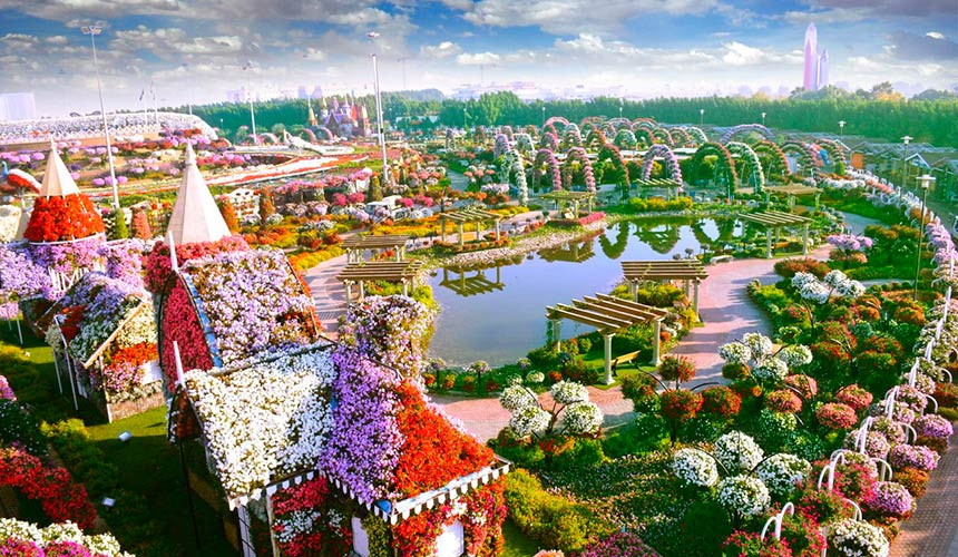 Miracle Garden